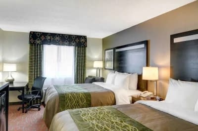 Comfort Inn 1