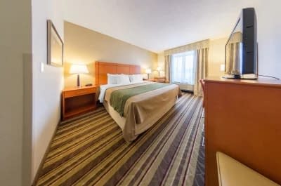 Comfort Inn Metro Airport Romulus 1
