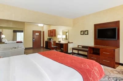 Comfort Suites Southfield 6