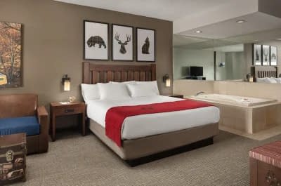 Great Wolf Lodge Grapevine
