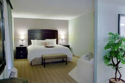 Hampton Inn & Suites Detroit-Canton