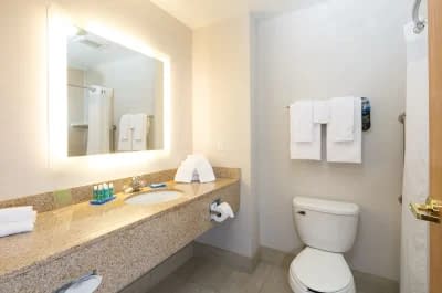 Holiday Inn Express Hotel & Suites Detroit-Utica 3
