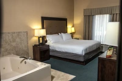 Holiday Inn Express Hotel & Suites - Novi jacuzzi
